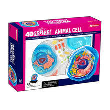 Load image into Gallery viewer, 4D Vision Animal Cell Model