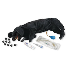 Load image into Gallery viewer, Basic Sanitary CPR Dog