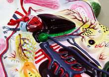 Load image into Gallery viewer, Eisco Frog Dissection Model, Mounted