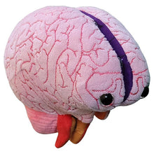 Load image into Gallery viewer, Brain: Stuffed Brain Model