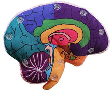 Load image into Gallery viewer, Brain: Stuffed Brain Model