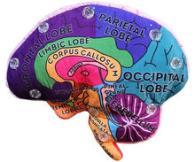 Load image into Gallery viewer, Brain: Stuffed Brain Model