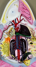 Load image into Gallery viewer, Eisco Frog Dissection Model, Mounted