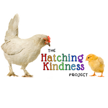 Load image into Gallery viewer, Hatching Kindness Project Set
