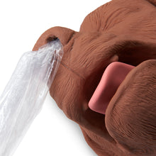 Load image into Gallery viewer, CasPeR The CPR Dog Manikin