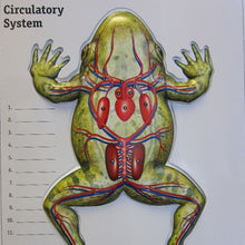 Load image into Gallery viewer, Frog Flip Chart