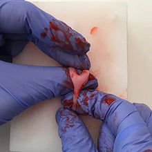 Load image into Gallery viewer, Feline Ovariohysterectomy (Spay) Model