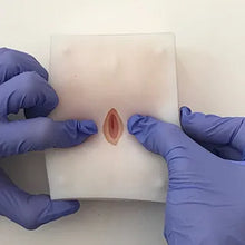 Load image into Gallery viewer, Feline Ovariohysterectomy (Spay) Model