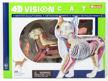Load image into Gallery viewer, 4D Vision Cat Model