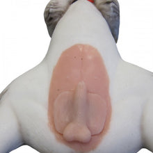 Load image into Gallery viewer, Dog Neutering Mannikin