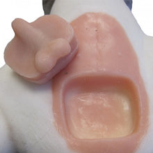 Load image into Gallery viewer, Dog Neutering Mannikin
