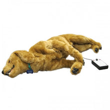 Load image into Gallery viewer, Goldie K-9 Breath Heart Simulator