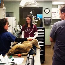 Load image into Gallery viewer, Critical Care Jerry