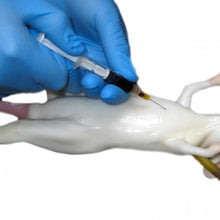 Load image into Gallery viewer, Mimolette Lab Rat Mannikin