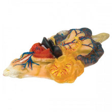 Load image into Gallery viewer, Realistic Rat Model