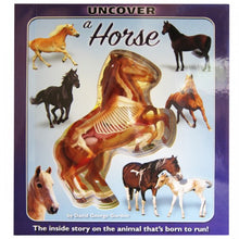 Load image into Gallery viewer, Uncover a Horse Book