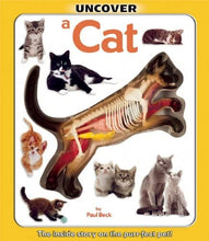 Load image into Gallery viewer, Uncover a Cat Book