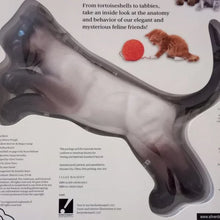 Load image into Gallery viewer, Uncover a Cat Book