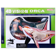 Load image into Gallery viewer, 4D Vision Orca Model
