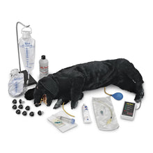 Load image into Gallery viewer, Advanced Sanitary CPR Dog
