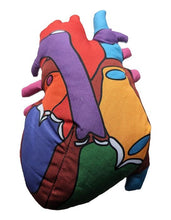 Load image into Gallery viewer, Heart Model - Stuffed - Classroom Set
