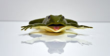 Load image into Gallery viewer, Kind Frog™
