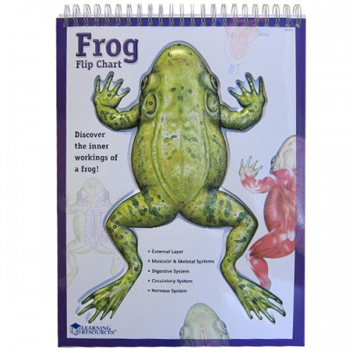 Frog Flip Chart