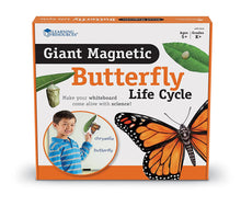 Load image into Gallery viewer, Giant Magnetic Butterfly Life Cycle
