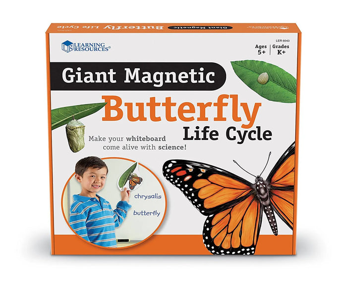 Giant Magnetic Butterfly Life Cycle