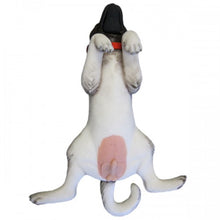 Load image into Gallery viewer, Dog Neutering Mannikin
