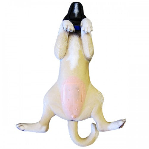 Dog Spaying Mannikin